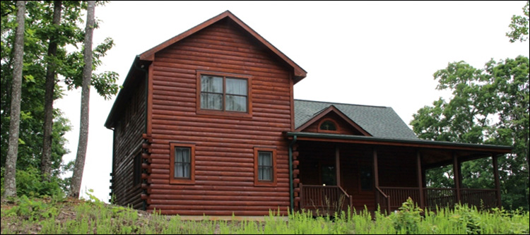 Professional Log Home Borate Application  Fayette County, Georgia